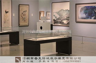 精品博物館展柜生產(chǎn)廠家 專業(yè)定制 睿克隆城 博物館展柜